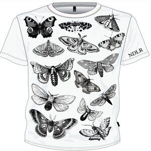 The MOTH shirt coming soon fall 2024 NDLR